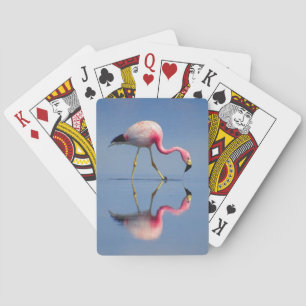 Baraja De Cartas reflexión de flamingo