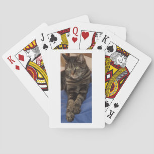 Baraja De Cartas Regal Dave