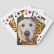 Regalo de perro para los padres mascotas