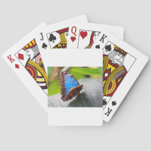 Baraja De Cartas Regalos del destino