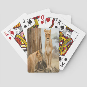 Baraja De Cartas Reglas de Lioness