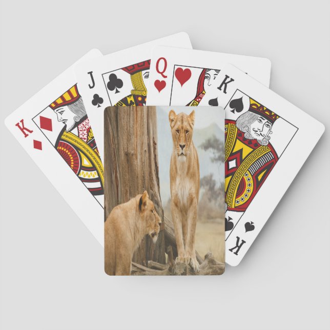 Baraja De Cartas Reglas de Lioness (Reverso)