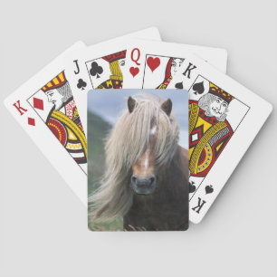 Baraja De Cartas Reino Unido, Escocia, Islas Shetland, pony Shetlan