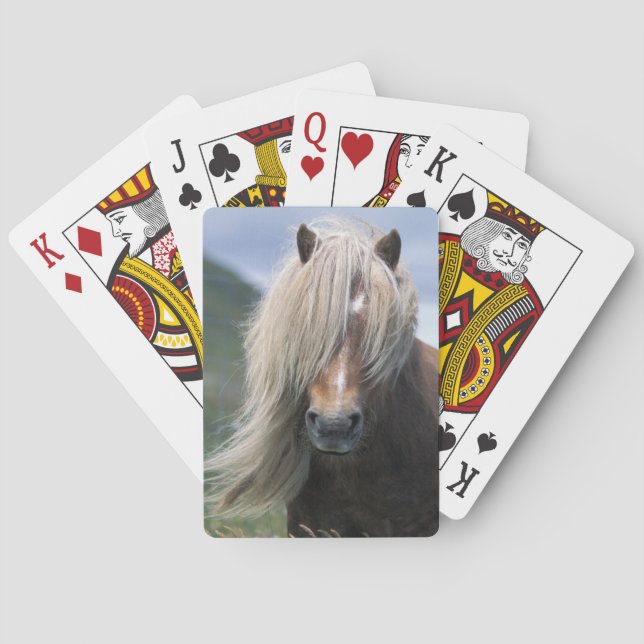 Baraja De Cartas Reino Unido, Escocia, Islas Shetland, pony Shetlan (Reverso)