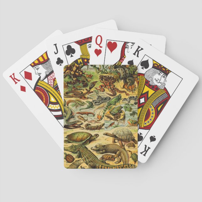 BARAJA DE CARTAS REPTILES (Reverso)