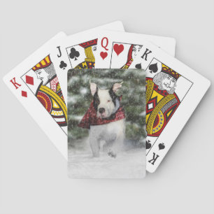 Baraja De Cartas Rescate de bulldoges cayendo por la nieve