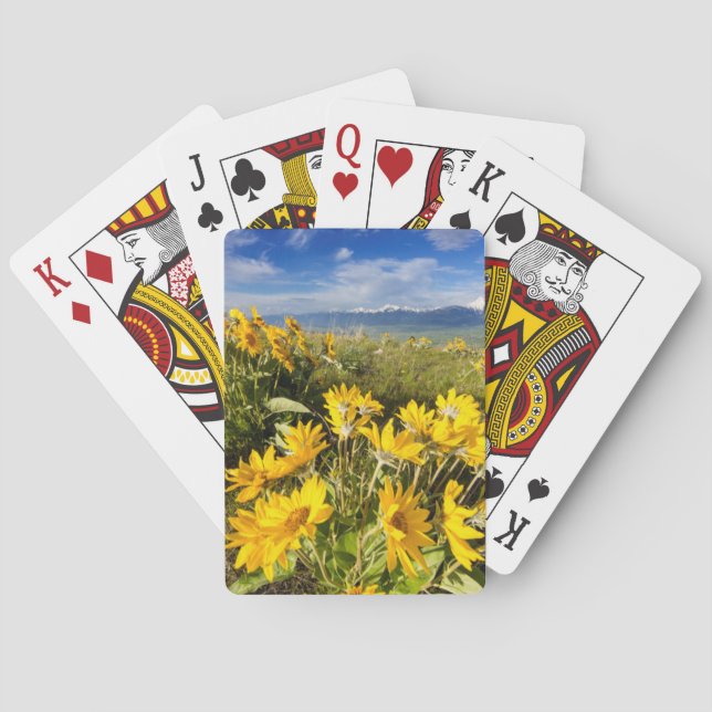 Baraja De Cartas Reserva Nacional de Bisontes (Reverso)