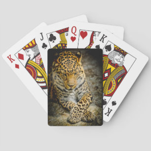 Baraja De Cartas Resting Leopard Playing Cards