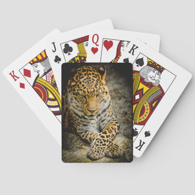 Baraja De Cartas Resting Leopard Playing Cards (Reverso)