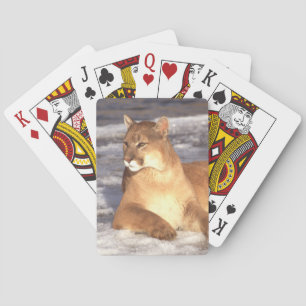 Baraja De Cartas Resto de Cougar