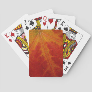 Baraja De Cartas Resumen de la hoja de arce roja Fotografía de la n