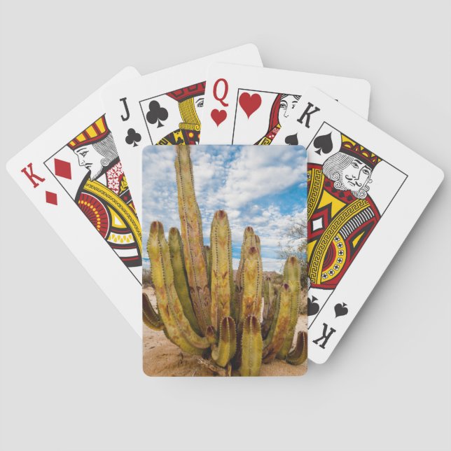 Baraja De Cartas Retrato de Cactus, México (Reverso)