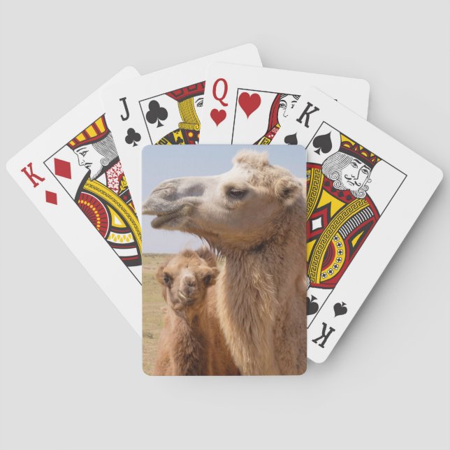 Baraja De Cartas Retrato de camello bactriano (Reverso)