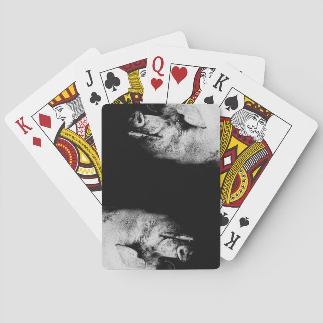Baraja De Cartas retrato de cerdo (Reverso)