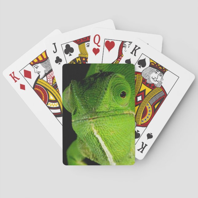 Baraja De Cartas Retrato De Chameleon Con Cuello Flap (Reverso)
