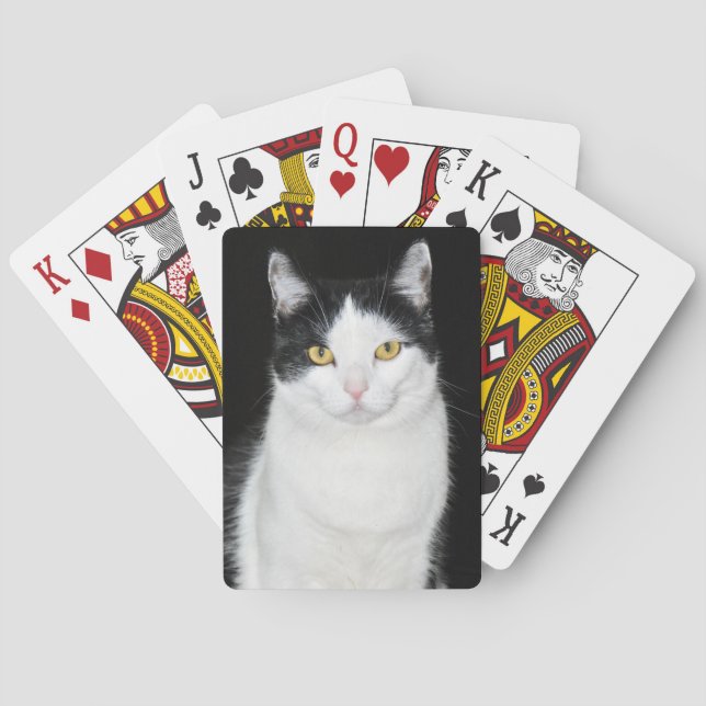 Baraja De Cartas Retrato de gato blanco y negro (Reverso)