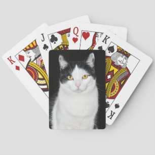 Baraja De Cartas Retrato de gato negro y blanco
