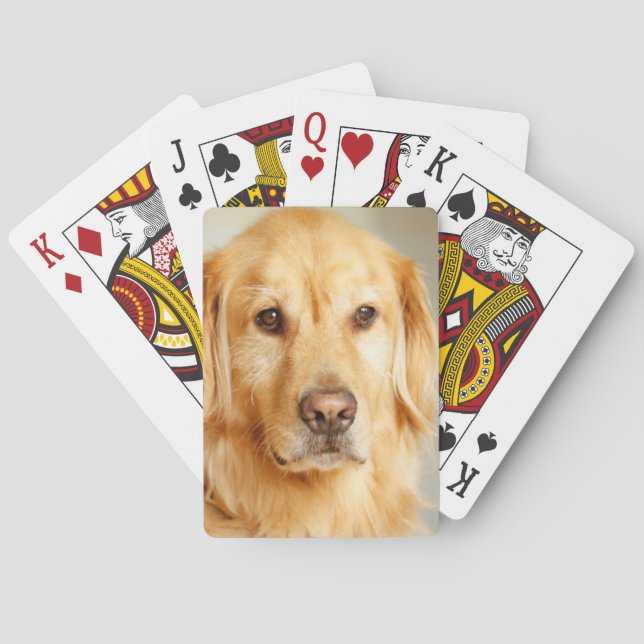Baraja De Cartas Retrato de Golden Retriever (Reverso)