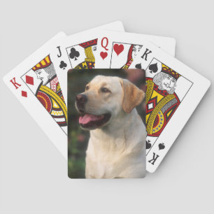 Baraja De Cartas Retrato de Labrador Retriever, Hilton