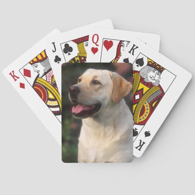 Baraja De Cartas Retrato de Labrador Retriever, Hilton (Reverso)