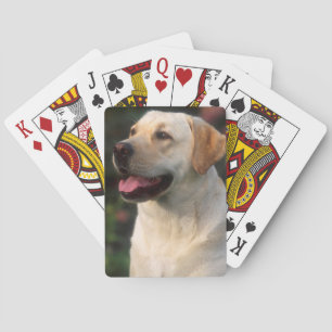 Baraja De Cartas retrato de Labrador Retriever, Hilton