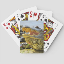 Baraja De Cartas Retrato de lagarto estadounidense - Cara a cara