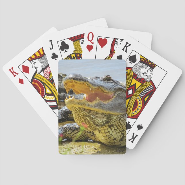 Baraja De Cartas Retrato de lagarto estadounidense - Cara a cara (Reverso)
