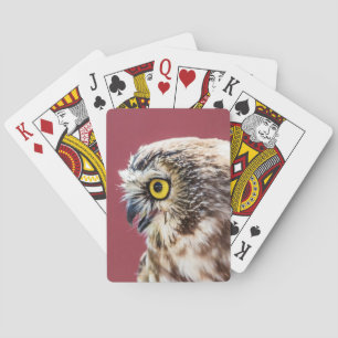 Baraja De Cartas Retrato de lechuza blanca del norte