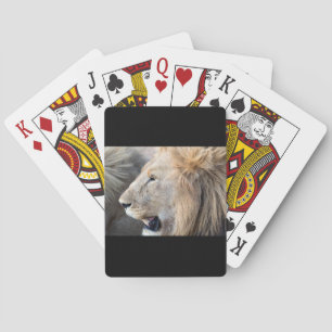 Baraja De Cartas Retrato de león