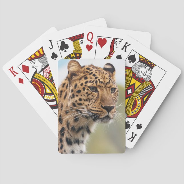 Baraja De Cartas Retrato de leopardo (Reverso)