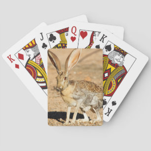 Baraja De Cartas Retrato de liebre antílope, Arizona