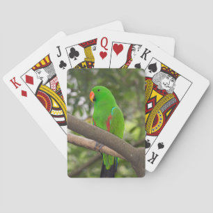 Baraja De Cartas Retrato de loro verde