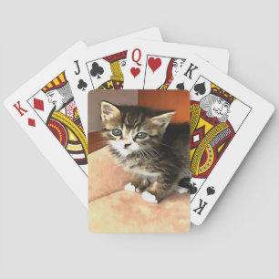 Baraja De Cartas Retrato de Mascota de gatitos de Tabby
