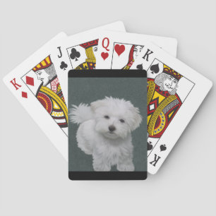 Baraja De Cartas Retrato de mascota de perrito blanco pequeño