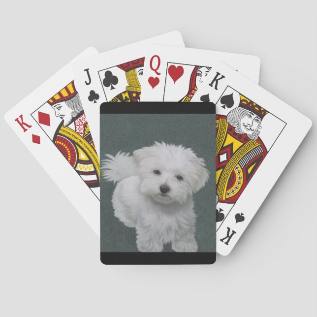 Baraja De Cartas Retrato de mascota de perros blancos (Reverso)