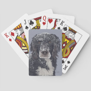 Baraja De Cartas retrato de mascota mezcla de perro spaniel