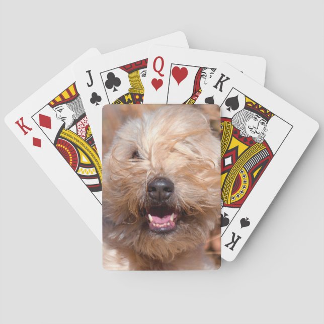 Baraja De Cartas Retrato de Terrier en llantas blandas (Reverso)