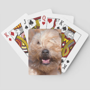 Baraja De Cartas Retrato de trigo suavemente revestido de Terrier