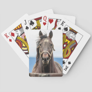 Baraja De Cartas Retrato de un caballo