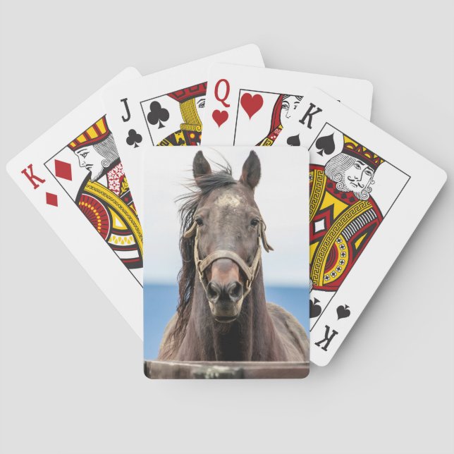 Baraja De Cartas Retrato de un caballo (Reverso)