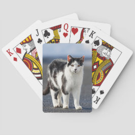 Baraja De Cartas Retrato de un gato