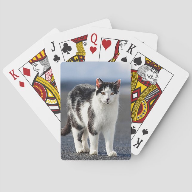 Baraja De Cartas Retrato de un gato (Reverso)