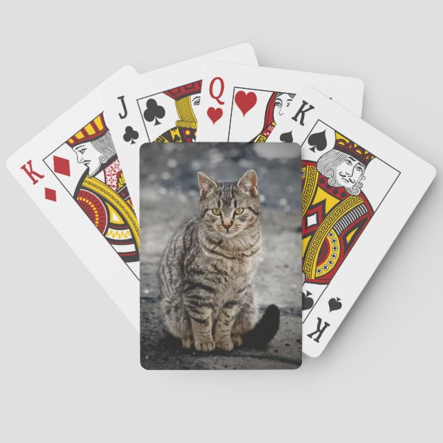 Baraja De Cartas Retrato de un gato (Reverso)