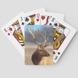 Baraja De Cartas Retrato de un impresionante alce toro