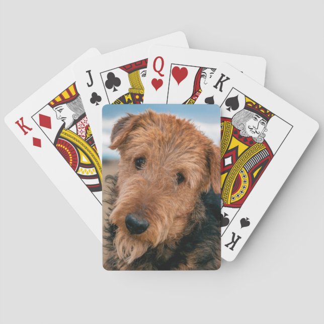 Baraja De Cartas Retrato de un Terrier Airedale (Reverso)