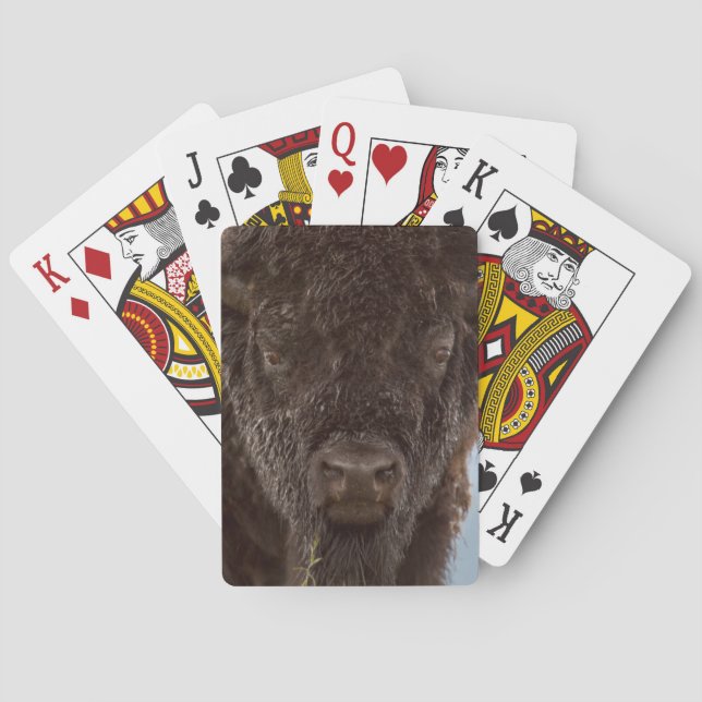 Baraja De Cartas Retrato De Un Toro De Bison En Lluvia (Reverso)