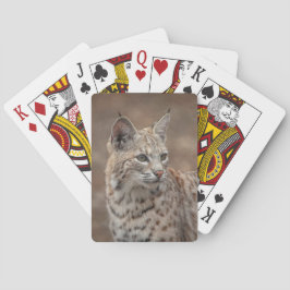 Baraja De Cartas Retrato de una Bobcat