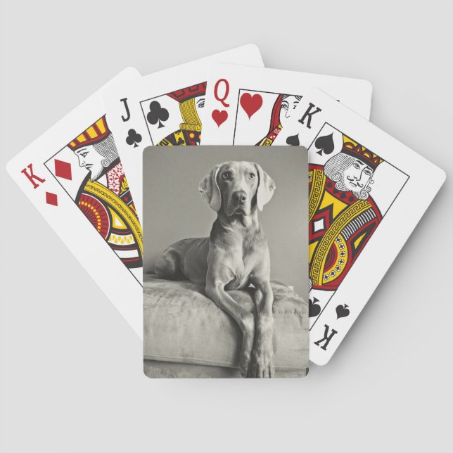 Baraja De Cartas Retrato de Weimaraner (Reverso)