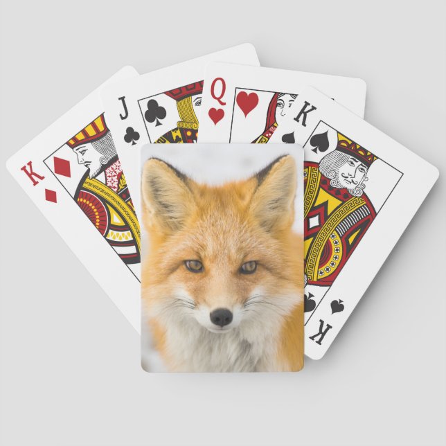 Baraja De Cartas Retrato de zorro rojo (Reverso)
