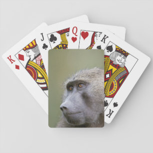 Baraja De Cartas Retrato del babuino verde oliva adulto (anubis del